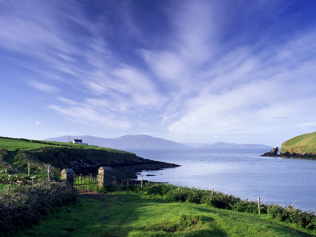#955371-4 - Cottage Looking over Dingle Bay, Dingle, Co.Kerry, Southern Ireland