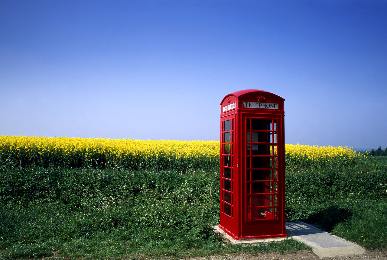 #955445-1 - Red Telephone Box & Rape Field, Coggeshall, Essex, England