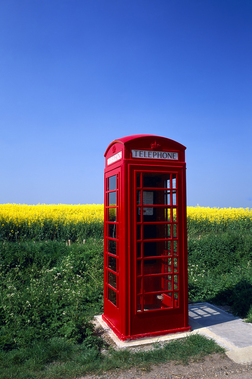 #955445-2 - Red Telephone Box & Rape Field, Coggeshall, Essex, England