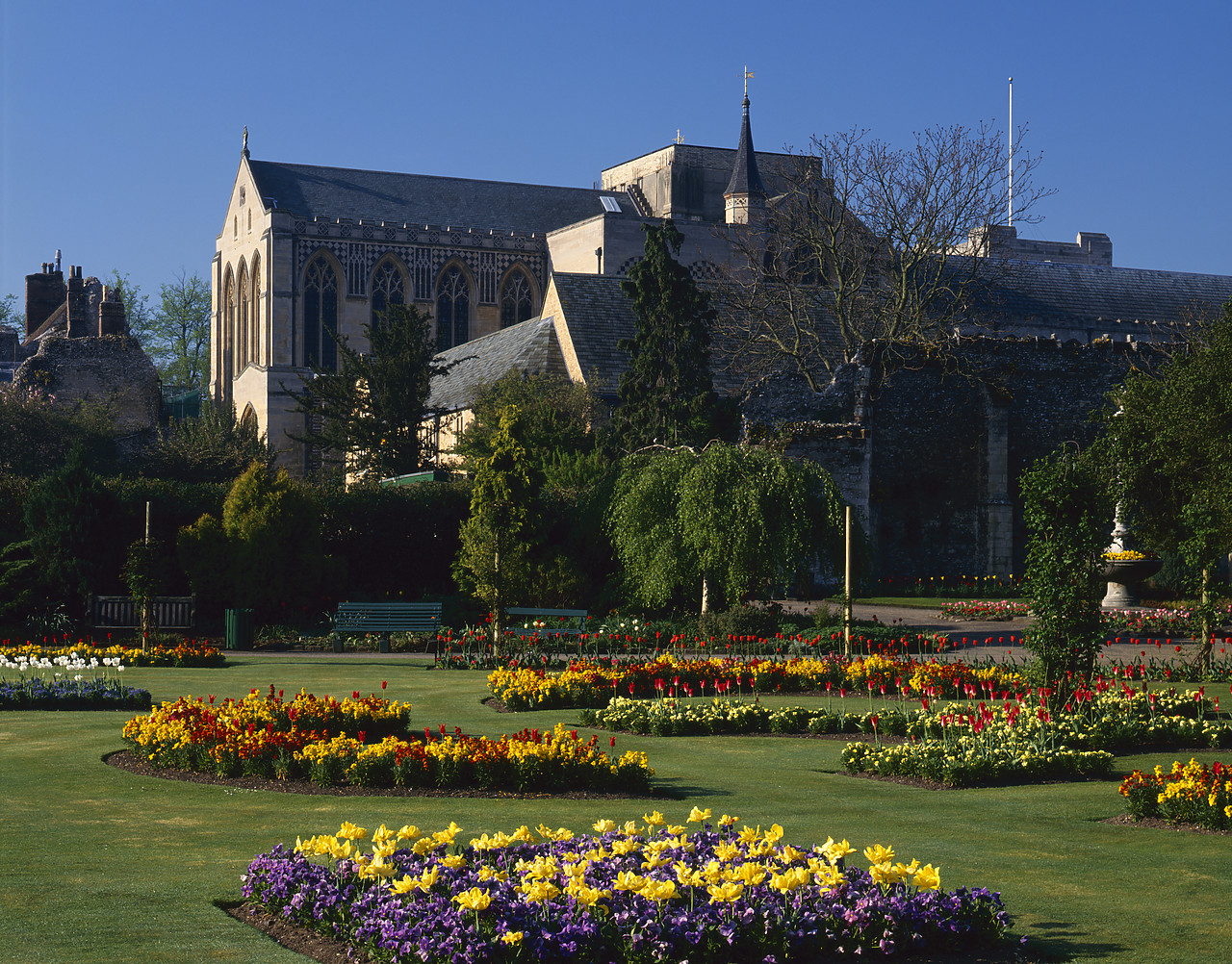 #955486 - Abbey Gardens in Spring, Bury St. Edmunds, Suffolk, England