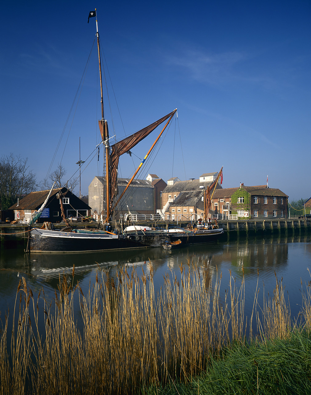 #955498-5 - Thames Barges, Snape Maltings, Suffolk, England