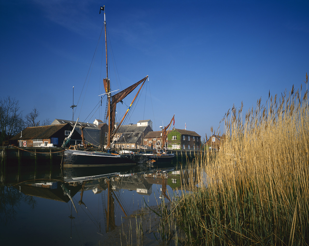 #955499-1 - Thames Barges, Snape Maltings, Suffolk, England