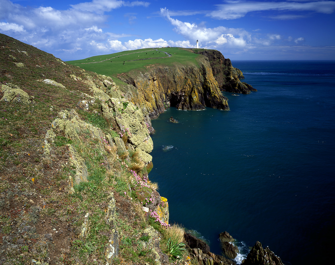#955519-1 - Coastline & Lighthouse, Mull of Galloway, Dumfries & Galloway, Scotland