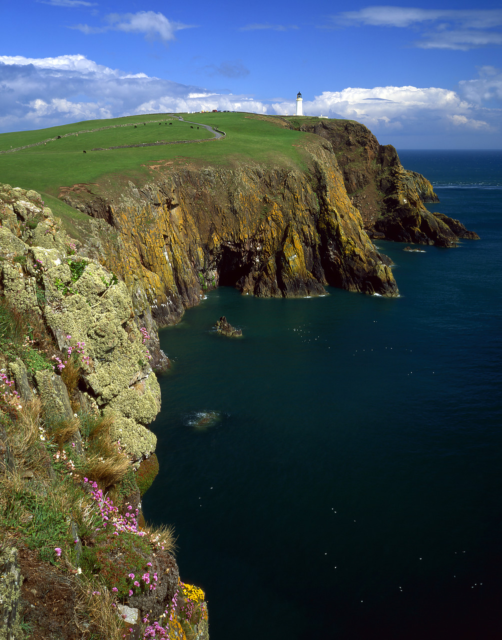 #955519-5 - Coastline & Lighthouse, Mull Of Galloway, Dumfries & Galloway & Scotland