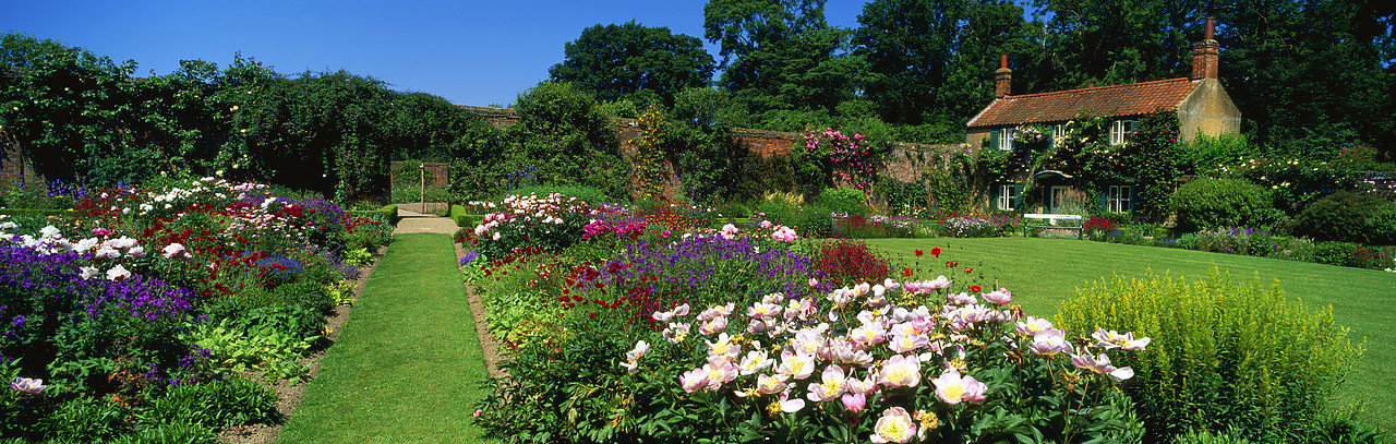 #955544-12 - Pathway through Spider Garden, Hoveton Hall Gardens, Norfolk, England