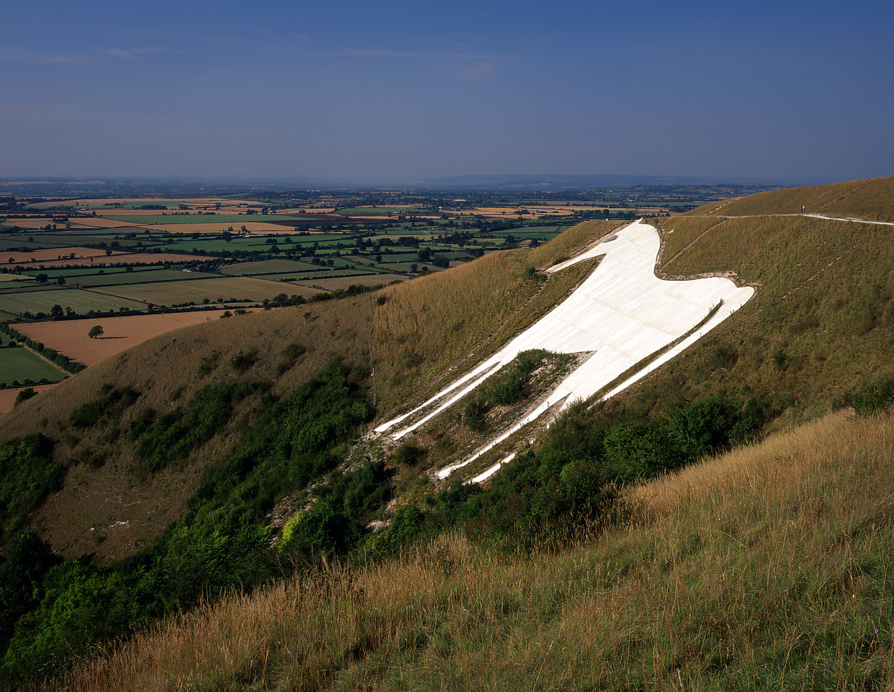 #955579-1 - White Horse of Westbury, Wiltshire, England