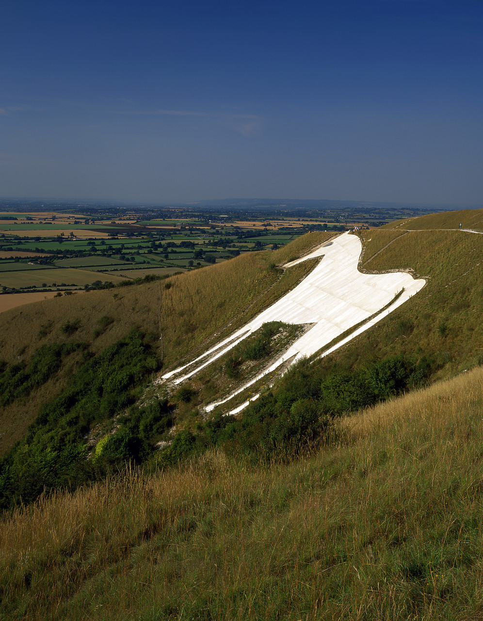 #955579-2 - White Horse of Westbury, Wiltshire, England