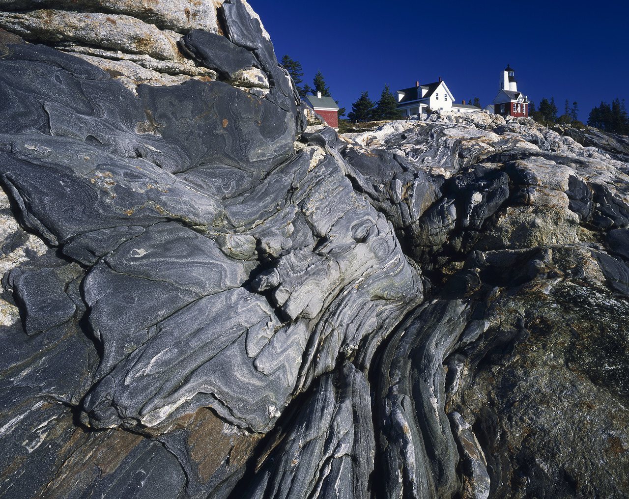 #955681-1 - Rock Striations at Pemaquid Lighthouse, Maine, USA