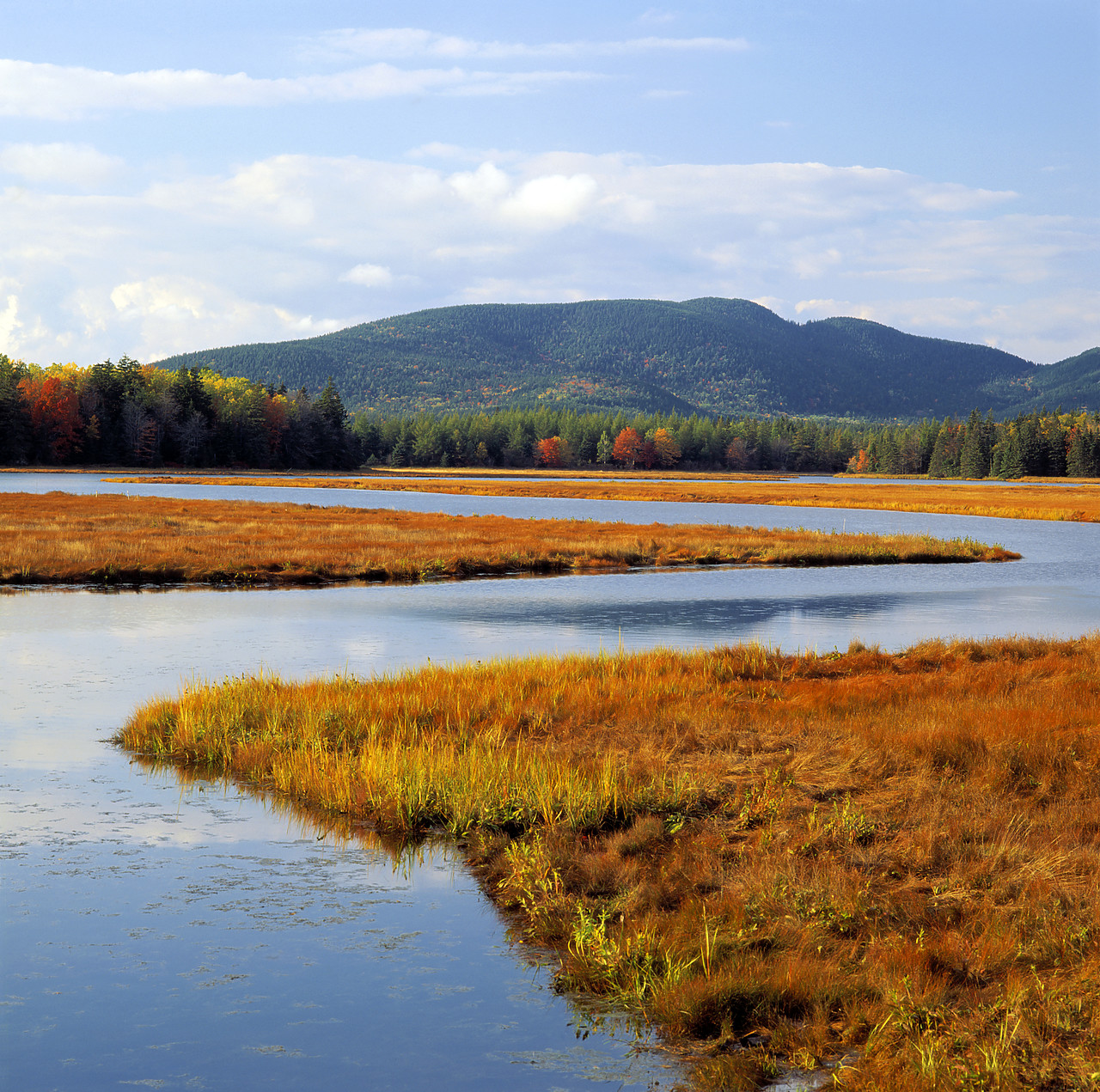 #955701-5 - Bass Harbour Marsh, Acadia National Park, Maine, USA