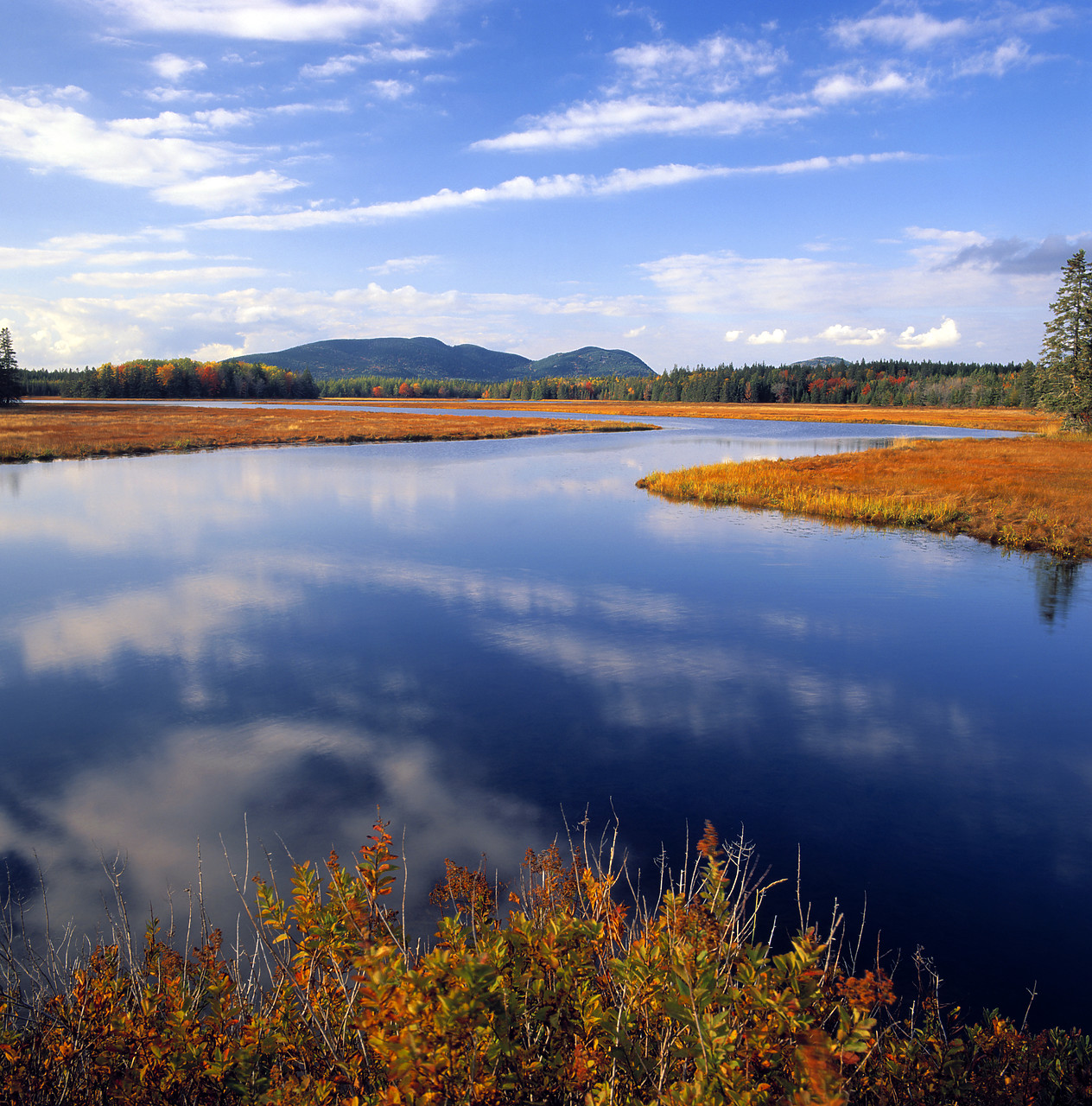 #955703-2 - Bass Harbor Marsh, Acadia National Park, Maine, USA