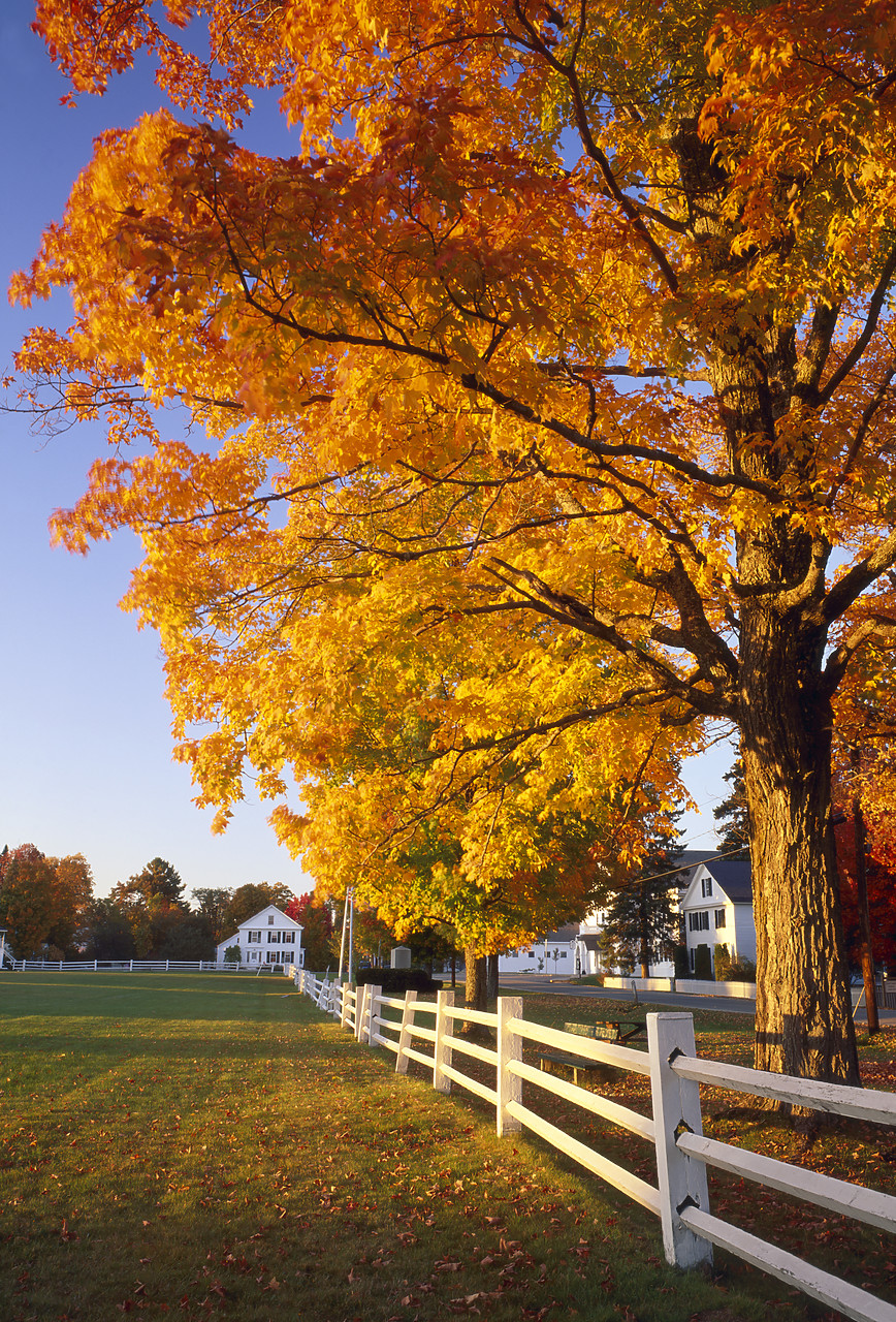 #955750-5 - Craftsbury Common in Autumn, Vermont, USA