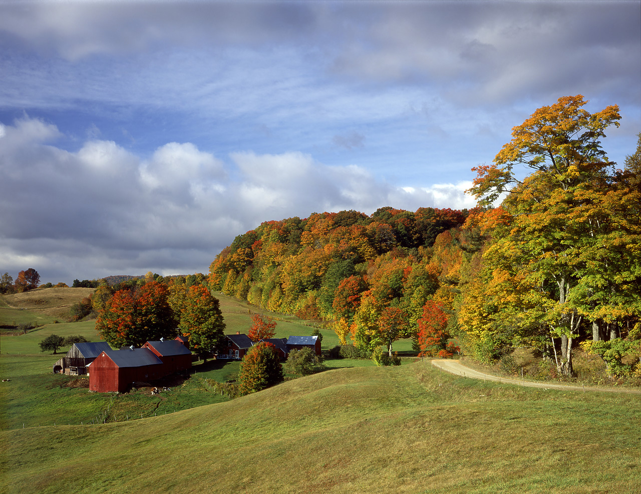 #955766-1 - Jenne Farm in Autumn, South Woodstock, Vermont, USA