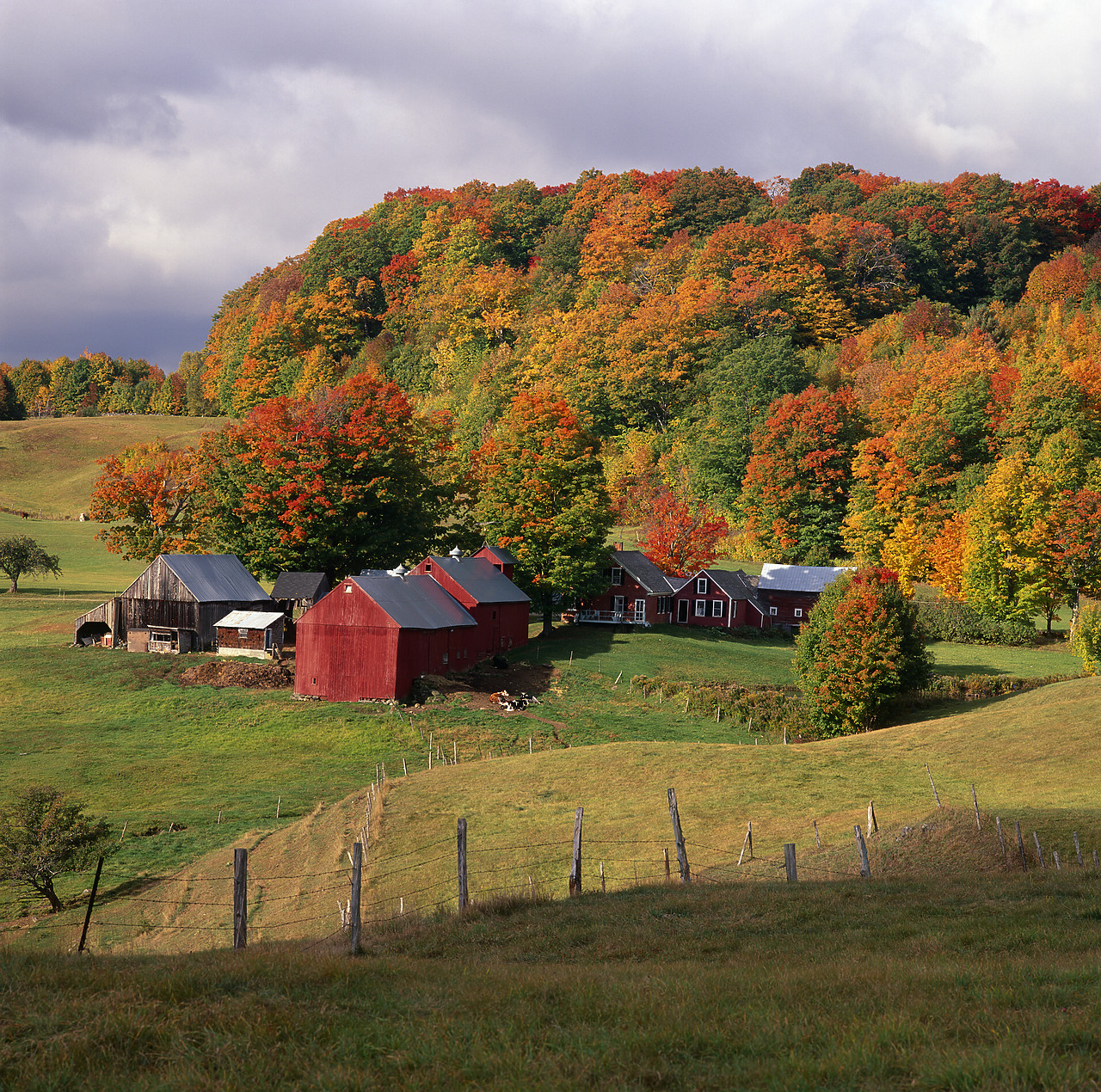 #955771-1 - Jenne Farm in Autumn, South Woodstock, Vermont, USA