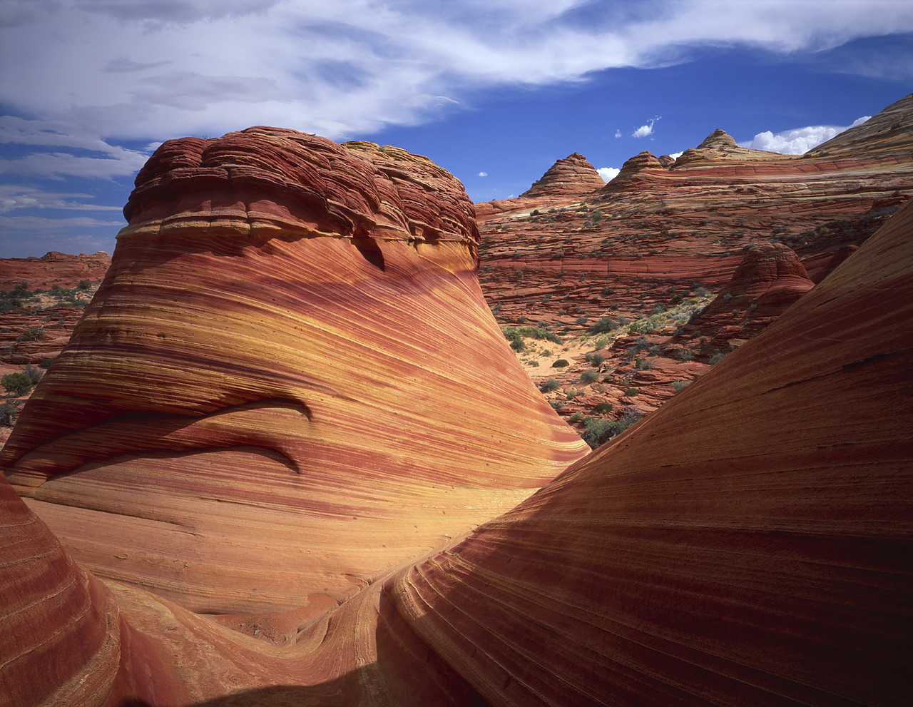 #955866-2 - Hoodoo Formation, Paria Canyon, Arizona, USA