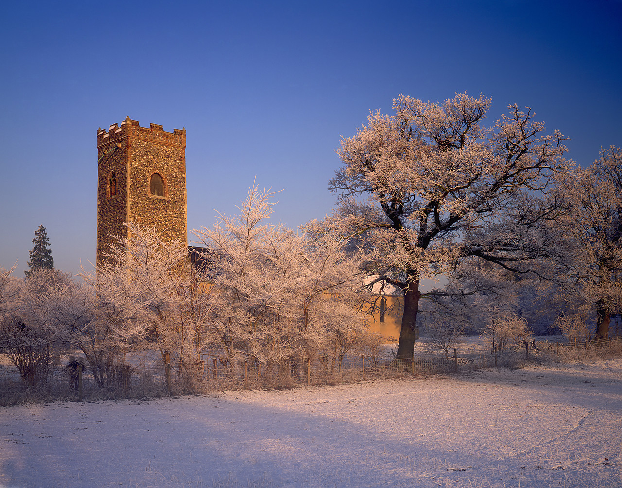 #955910-2 - Caistor St. Edmund Church in Winter, Norfolk, England