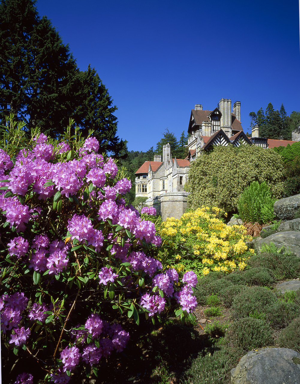 #966083-4 - Cragside House in Spring, Rothbury, Northumberland, England
