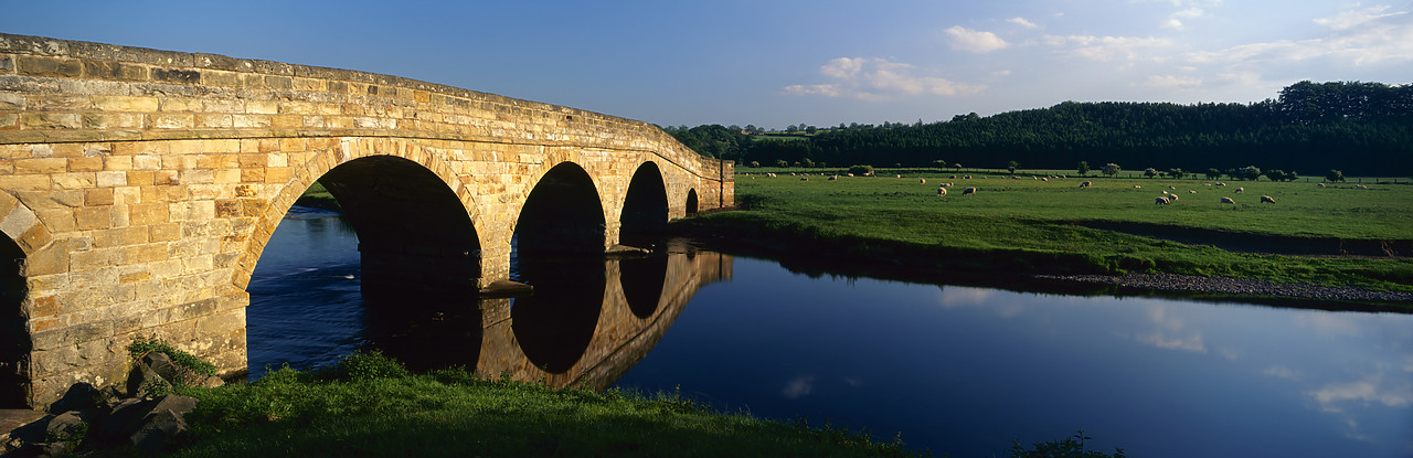 #966087-10 - Pauperhaugh Bridge on River Coquet, Northumberland, England