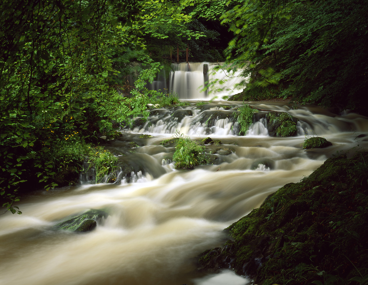 #966103-2 - River Stock, Ambleside, Lake District National Park, Cumbria, England
