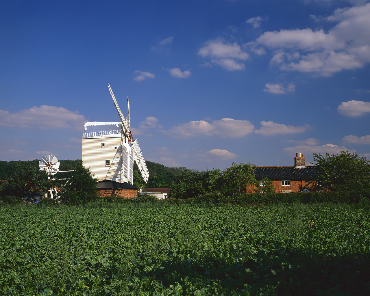 #966159-2 - Stanton Post Mill, Stanton, Suffolk, England