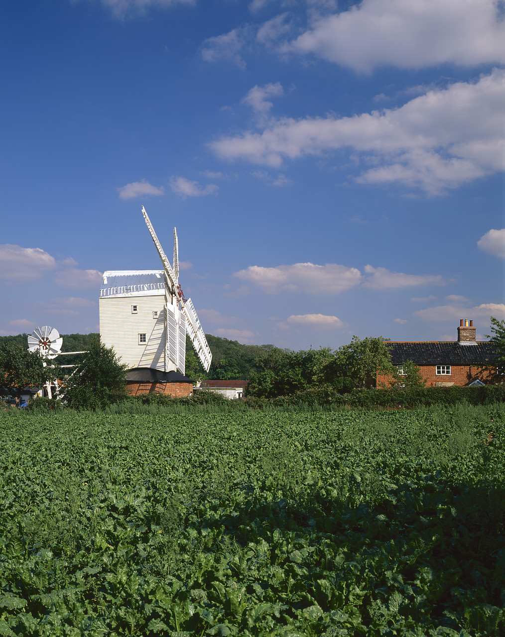 #966159-3 - Stanton Post Mill, Stanton, Suffolk, England