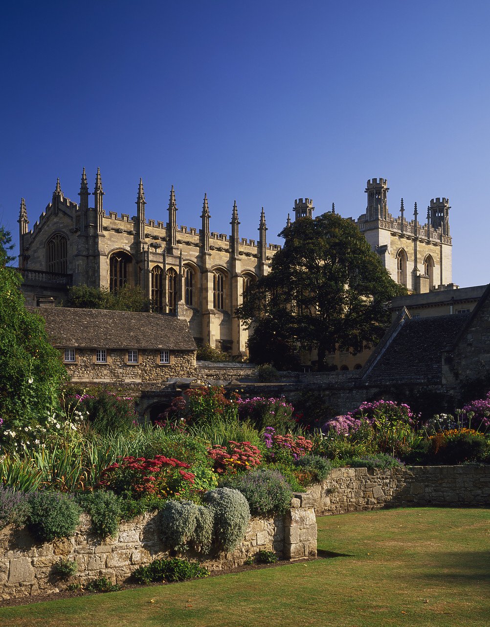 #966165-3 - Christ Church, Oxford, Oxfordshire, England