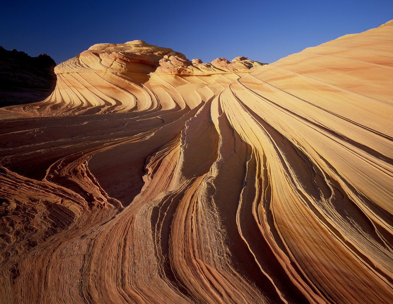 #966175-1 - Petrified Sand Dune Formations, Paria Wilderness Area, Arizona, USA