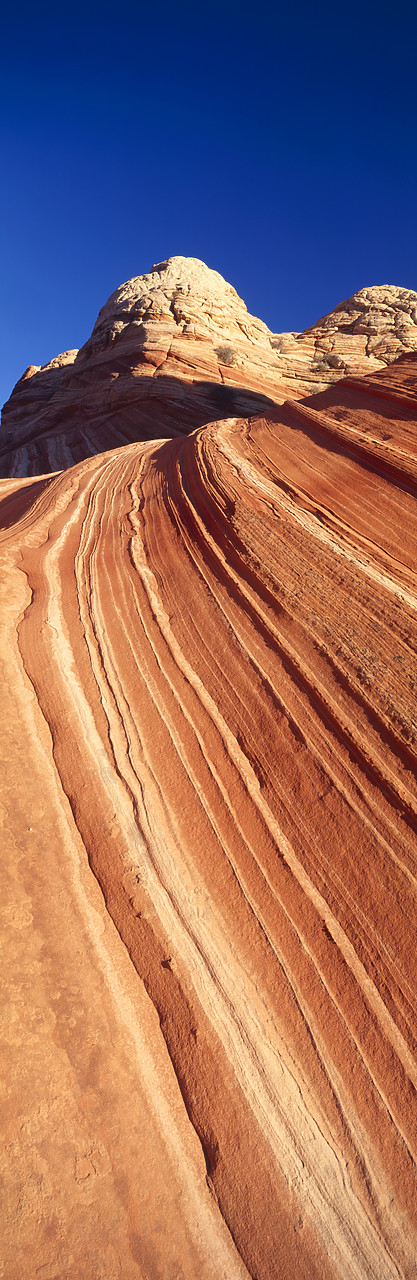 #966201-6 - Sandstone Striations, Colorado Plateau, Arizona, USA