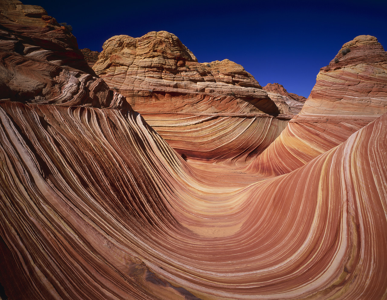 #966205-3 - The Sandstone Wave, Paria Canyon, Arizona, USA