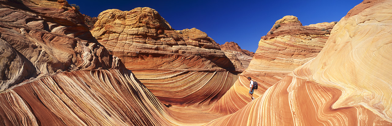 #966205-8 - The Sandstone Wave, Colorado Plateau, Arizona, USA