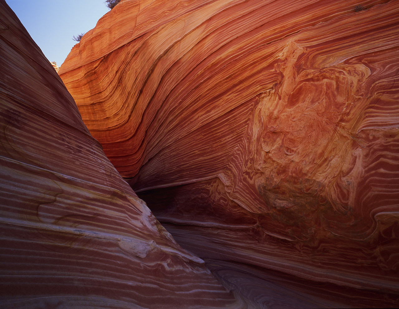 #966210-1 - Sandstone Design, Paria Canyon, Arizona, USA