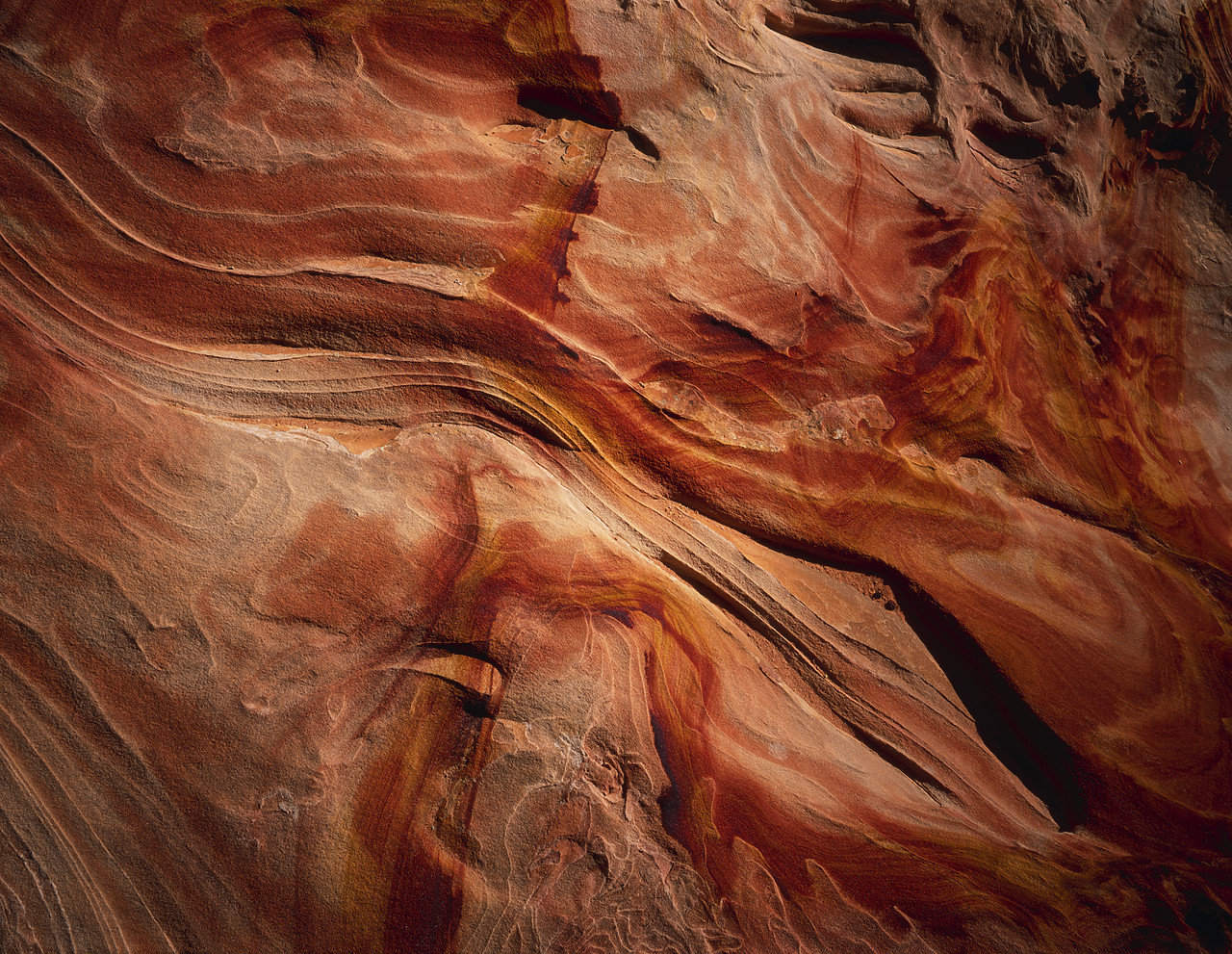 #966211 - Sandstone Design, Paria Canyon, Arizona, USA