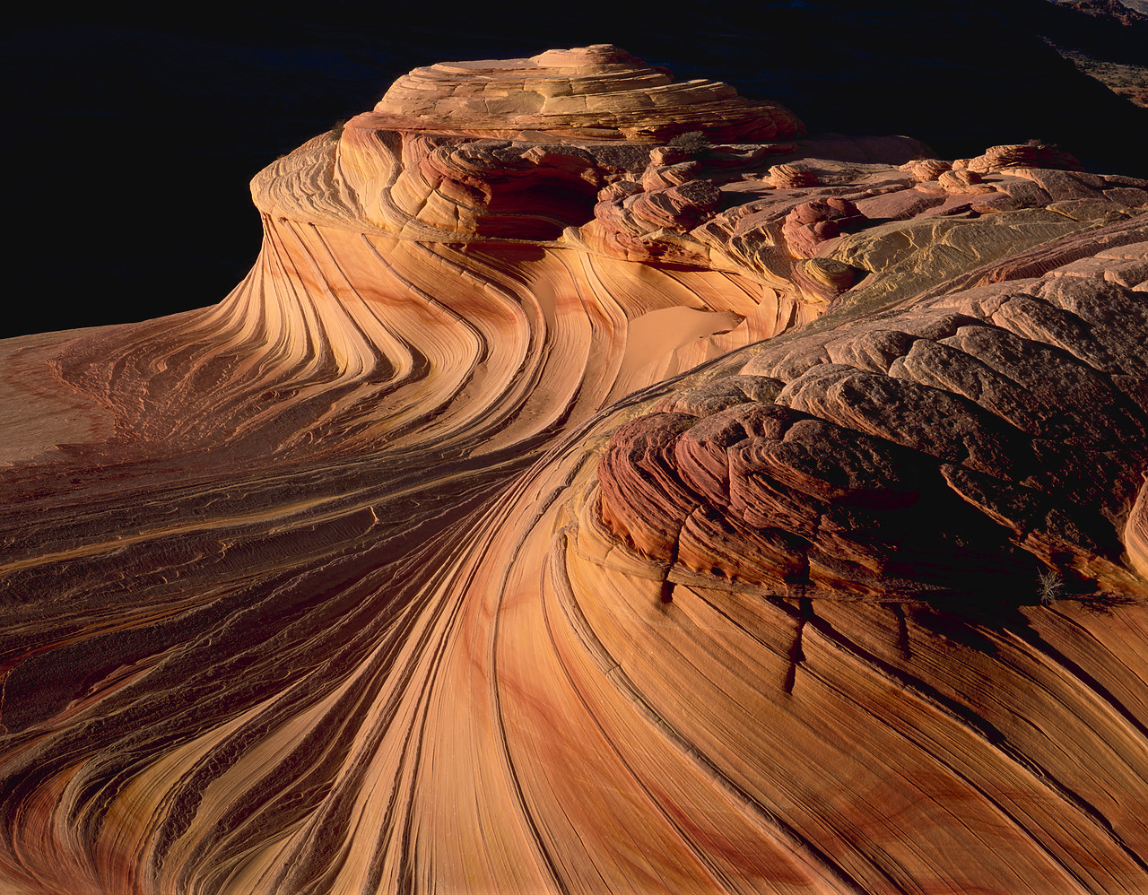 #966212-1 - Petrified Sand Dunes, Paria Wilderness Area, Arizona, USA