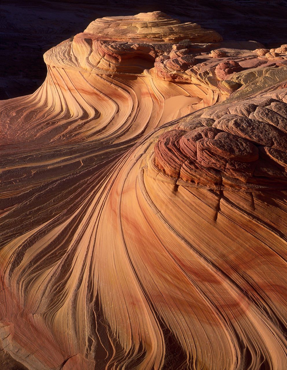 #966212-2 - Petrified Sand Dune Formations, Paria Wilderness Area, Arizona, USA