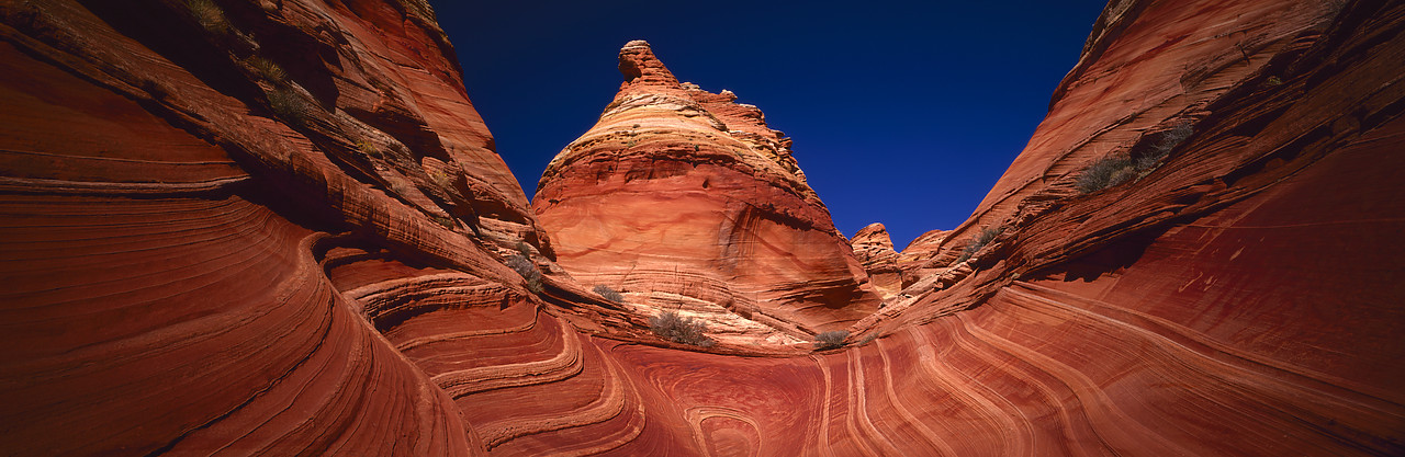 #966213-1 - Sandstone Hoodoos, Colorado Plateau, Arizona, USA