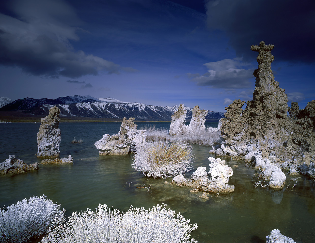 #970082-1 - Tufa Formations, Mono Lake, California, USA