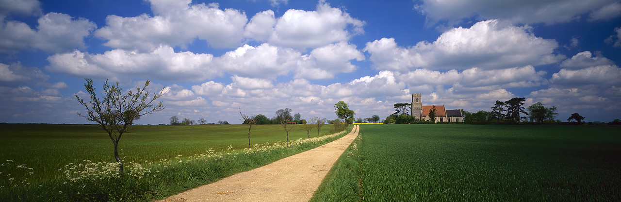 #970156-4 - Road Leading to Church, Broom, Norfolk, England