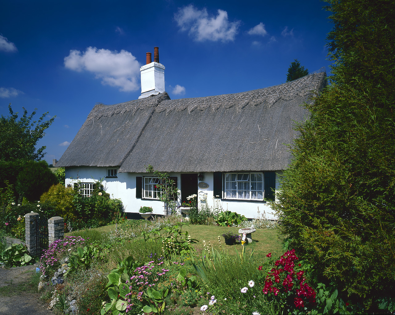 #970190-3 - Thatched Cottage & Garden, Creeting St. Mary, Suffolk, England