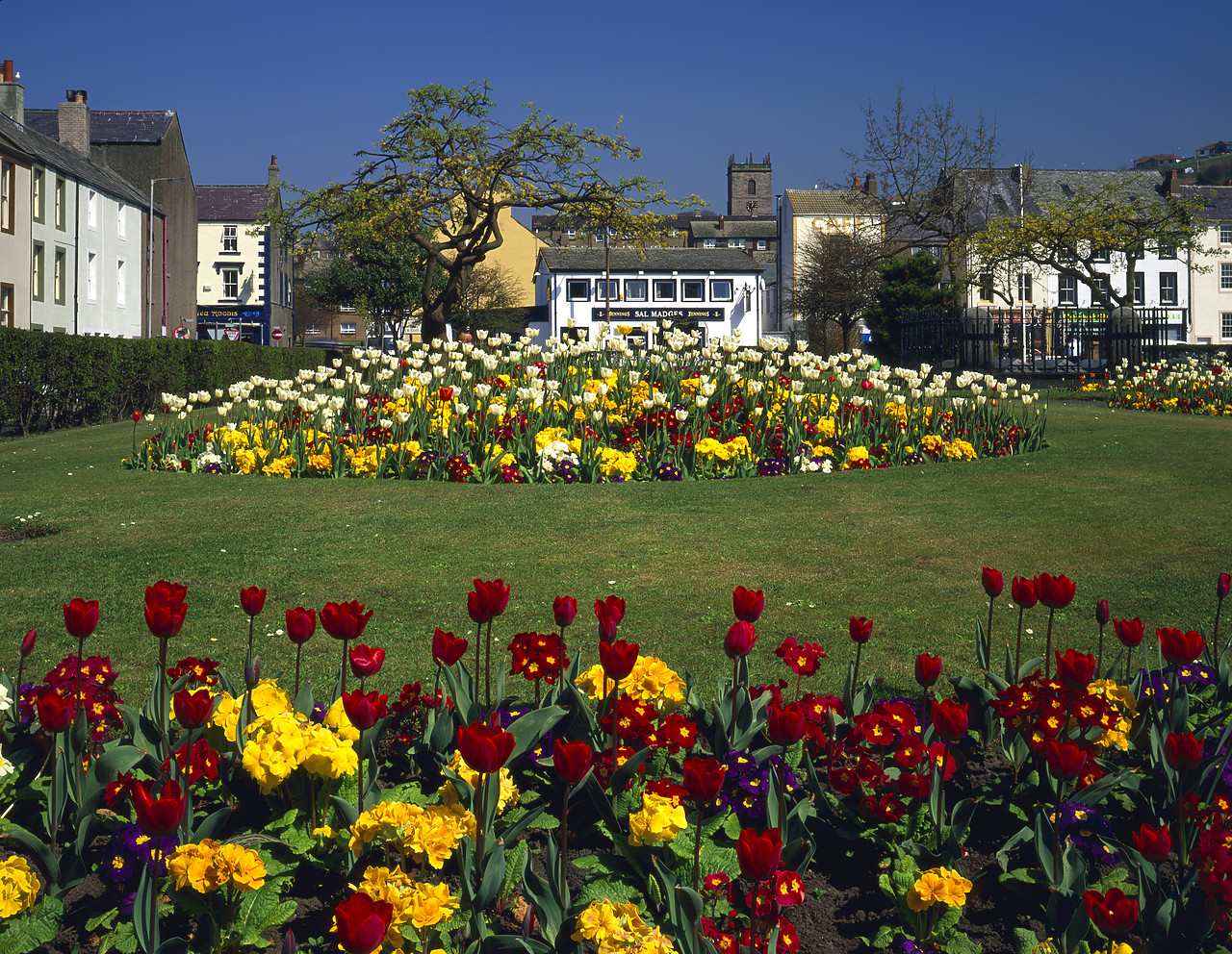 #970207-1 - Tulip Gardens, Whitehaven, Cumbria, England
