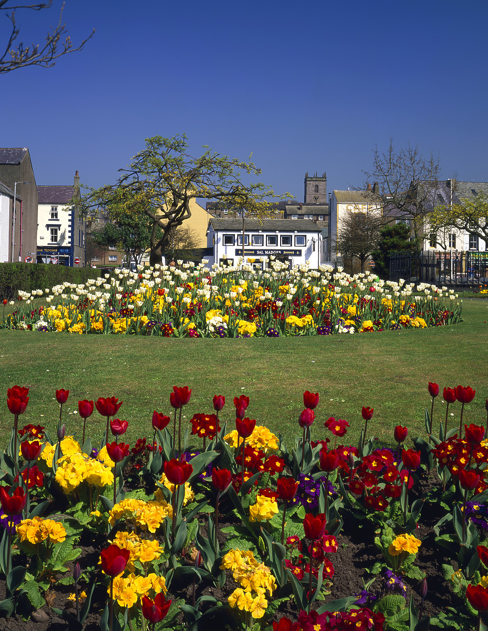 #970207-4 - Tulip Gardens, Whitehaven, Cumbria, England