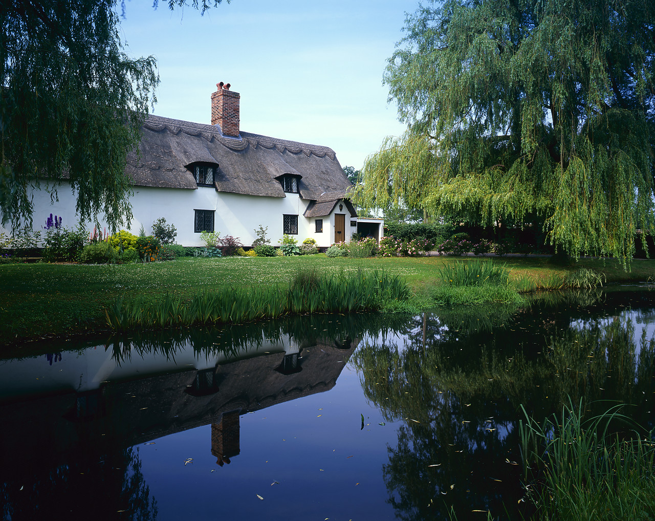 #970214-1 - Thatched Cottage & Pond, Fornham All Saints, Suffolk, England