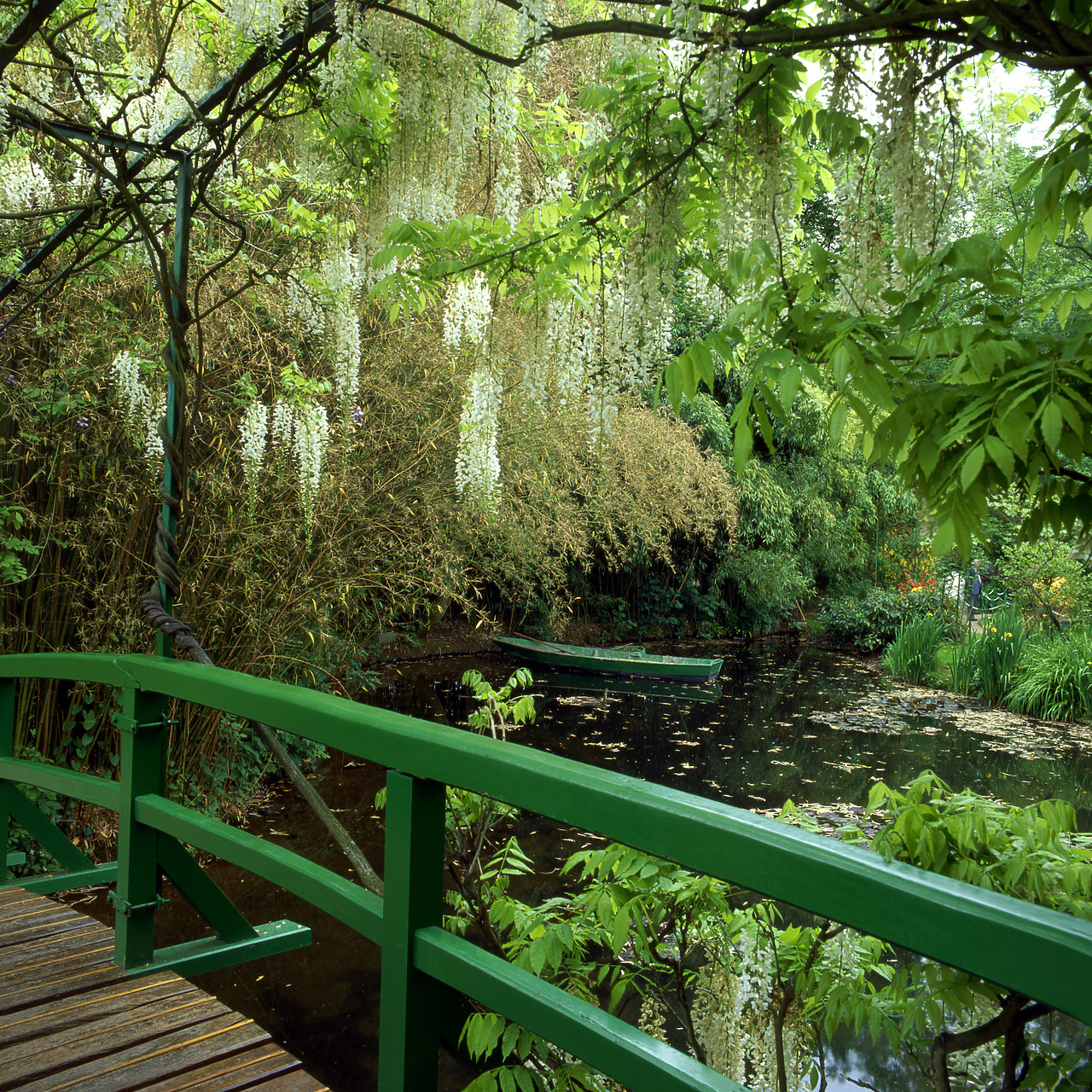 #970241-1 - Wysteria Bridge & Punt, Monet's Garden, Giverny, France