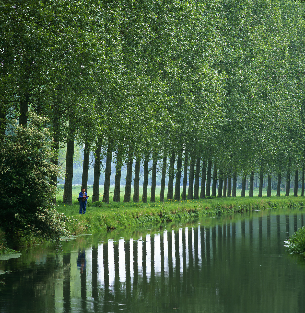 #970339-2 - Fisherman & Poplar Trees Reflecting in River Authie, Vron, France