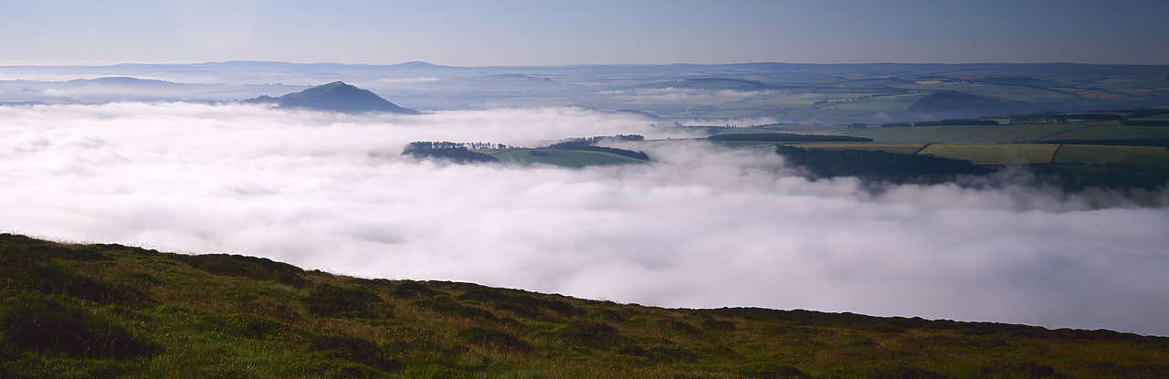 #970396-6 - Morning Mist over Tweed Valley, near Melrose, Border Region, Scotland
