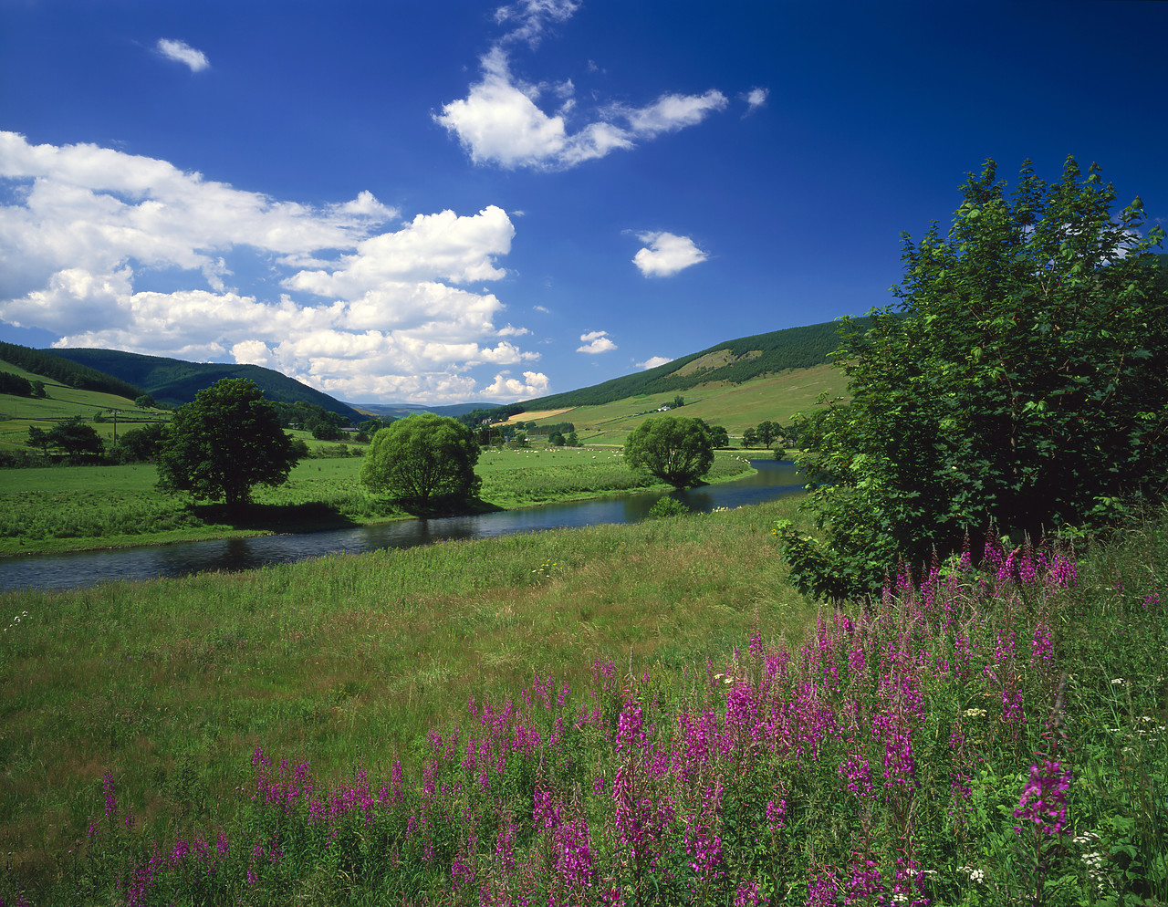 #970411-2 - River Tweed, near Innerleithen, Borders Region, Scotland