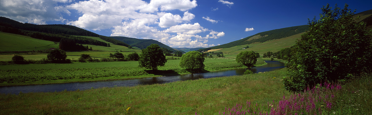 #970411-4 - River Tweed, near Innerleithen, Borders Region, Scotland