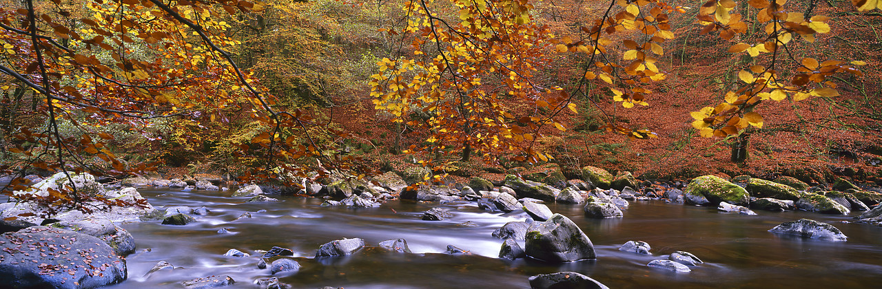 #970537-1 - River Braan in Autumn, Dunkeld, Tayside Region, Scotland