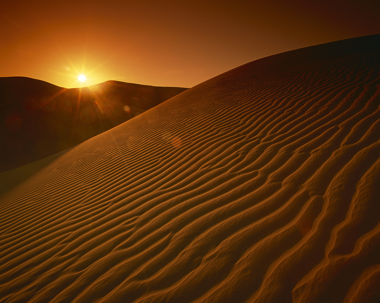 #980505-1 - Sunrise over Sand Dunes, Algodones Dunes Wilderness Area, California, USA