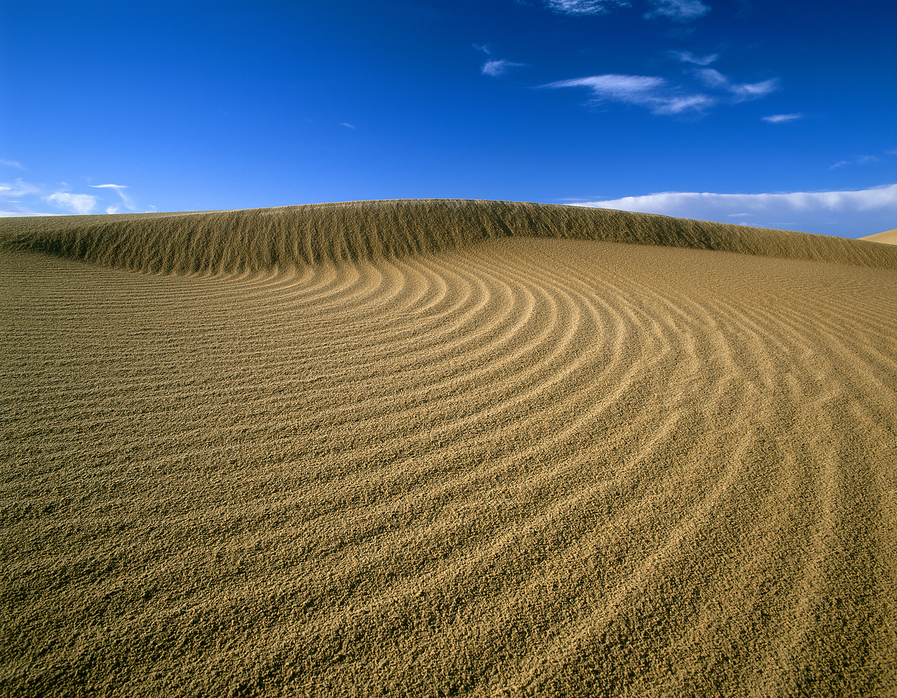 #980523-6 - Sand Dune Patterns. Algodones Dunes Wilderness Area, California, USA