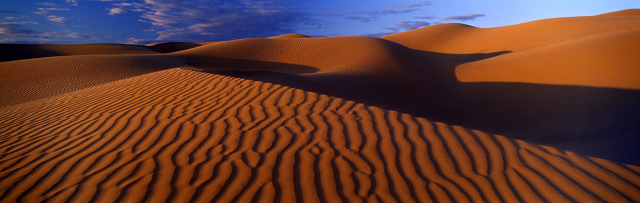 #980525-2 - Sand Dunes, Algodones, California, USA