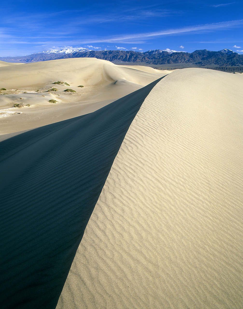 #980533-1 - Mesquite Sand Dunes, Death Valley National Park, California, USA